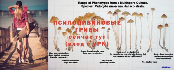 шишки Алексеевка