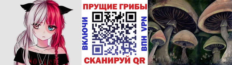 как найти наркотики  Сим  Галлюциногенные грибы GOLDEN TEACHER 